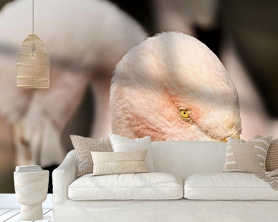 Raumvorschau