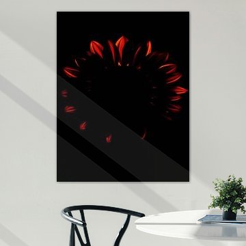 Ember Sun XIV by Ember Bloom