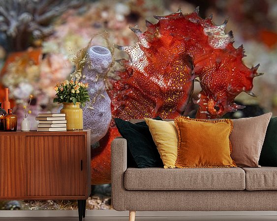 Raumvorschau
