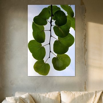 GROEN BLAD 3