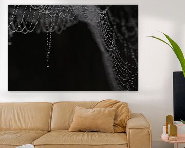 Dewy spider web sur Astrid Brouwers