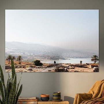 Dromen aan de kust van Libanon van Nienke van Denderen