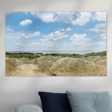 Oerderduinen op Ameland 
