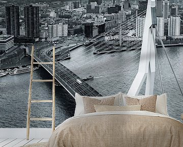 Rotterdam City by Rob van der Teen