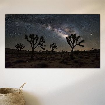 Desert Starlight: Milky Way Over Joshua Trees by Artistic