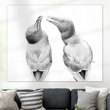 Love is in the air