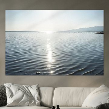 Zonsondergang in de Ebro-delta van Tobias Reißing