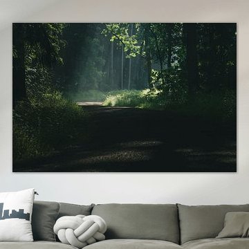 Wald von Ralf Hickmann