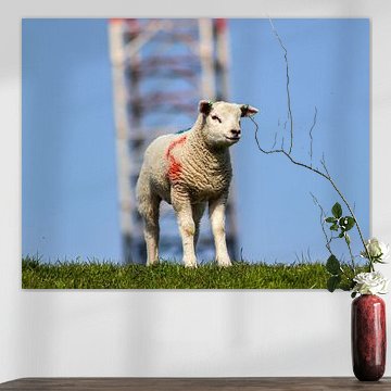 Nieuw leven in het Groningse landschap.