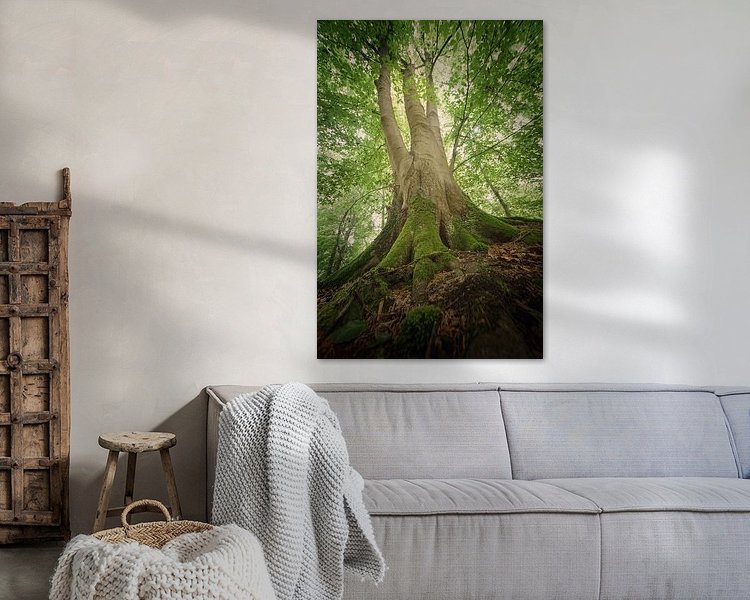 Raumvorschau