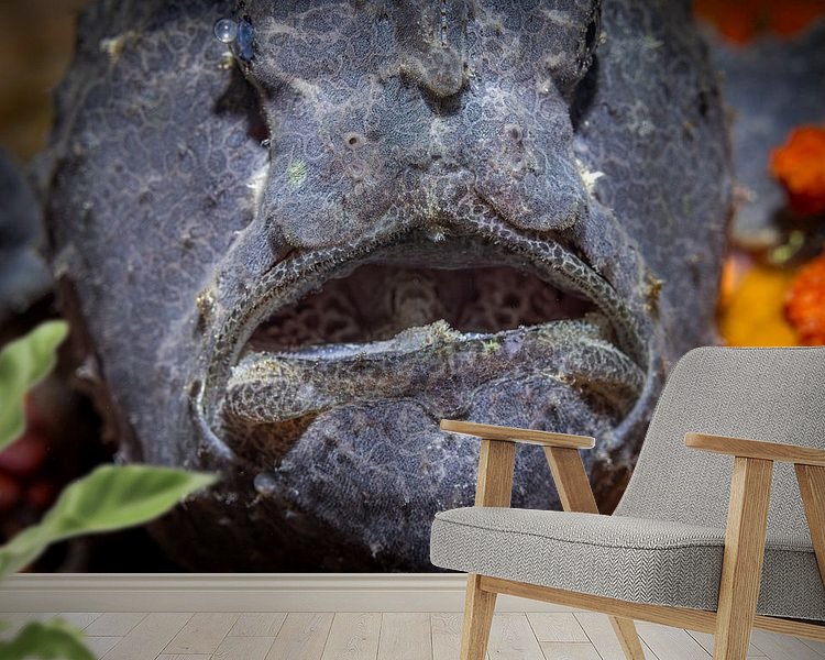 Raumvorschau