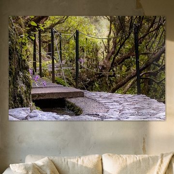 Walking trail along the levada, PR6 on Madeira, Portugal