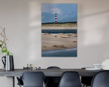 Sandbank with seals on the mudflats at the Amelandergat by Dennis Wierenga