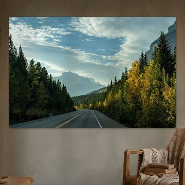 Herbstlicht auf dem Icefields Parkway