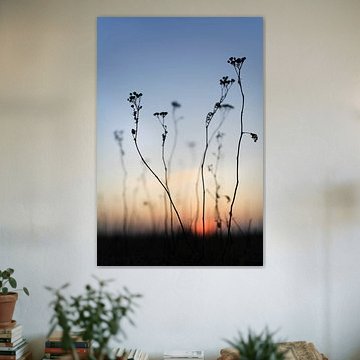 The last light of day in the floodplains of the Waal by SPIRIT OF NATURE - Chris Lindhout