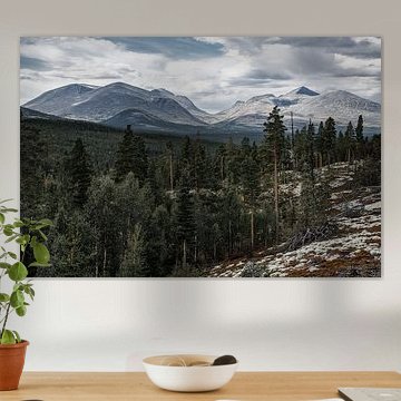 Norwegen | Blick auf die Berge von Rondane von Dylan Winter Visuals