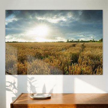 Goldene Weizenfelder in der Landschaft von Zeeland unter einem dramatischen, sonnenüberfluteten Himmel von Fotografiecor .nl