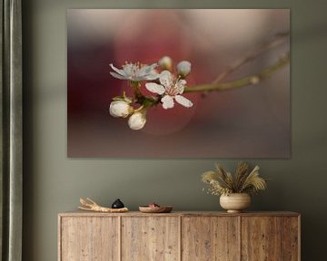 Sweet blossom (bloesem in Japanse stijl) van Birgitte Bergman