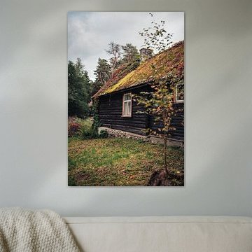 Verborgen in het Groen – Rustieke Blokhut in Estland