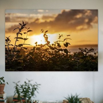 Sonnenuntergang in Børkop, Dänemark. von Frank Slaghuis