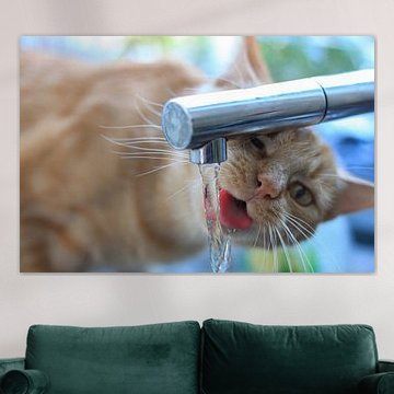 Thirsty cat by DafnePhoto