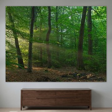 Sunrise at Dwingelderveld – Drenthe (Netherlands) by Marcel Kerdijk