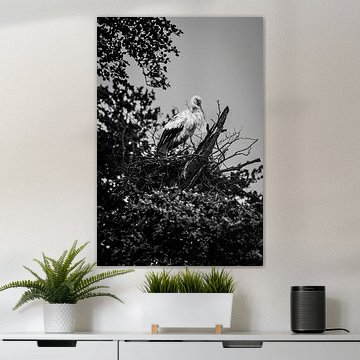 Storch auf dem Nest unter einem bedrohlichen Frühlingshimmel #2 von Charlotte Hagg