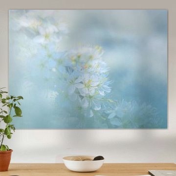 Beauty of Nature – Apple Blossom in Zeeland by Bas Meelker