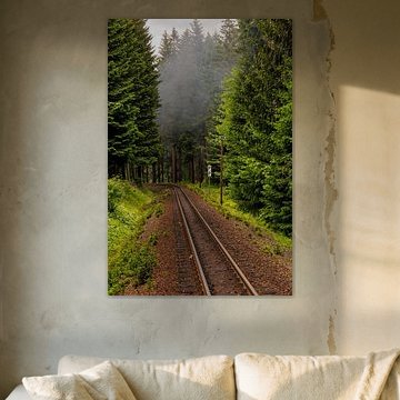 Het Pad van Dromen van Lichtlaub Fotografie | Toni Seyfert
