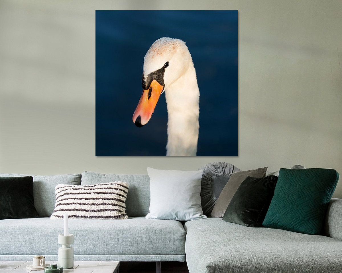 Raumvorschau