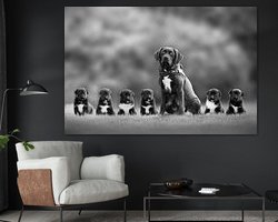 Voorbeeld van het werk in een kamer