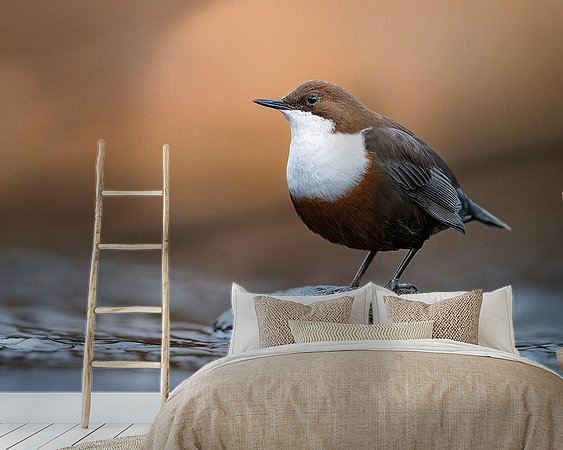 Voorbeeld van het werk in een kamer