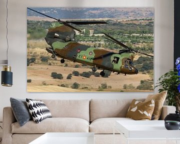 Spaanse Landmacht CH-47 Chinook van Dirk Jan de Ridder - Ridder Aero Media