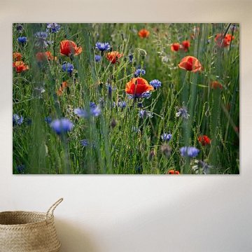 Flower family by Kimfaesdesign