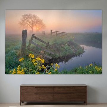 Der Zaun zum Polder von Bas Meelker