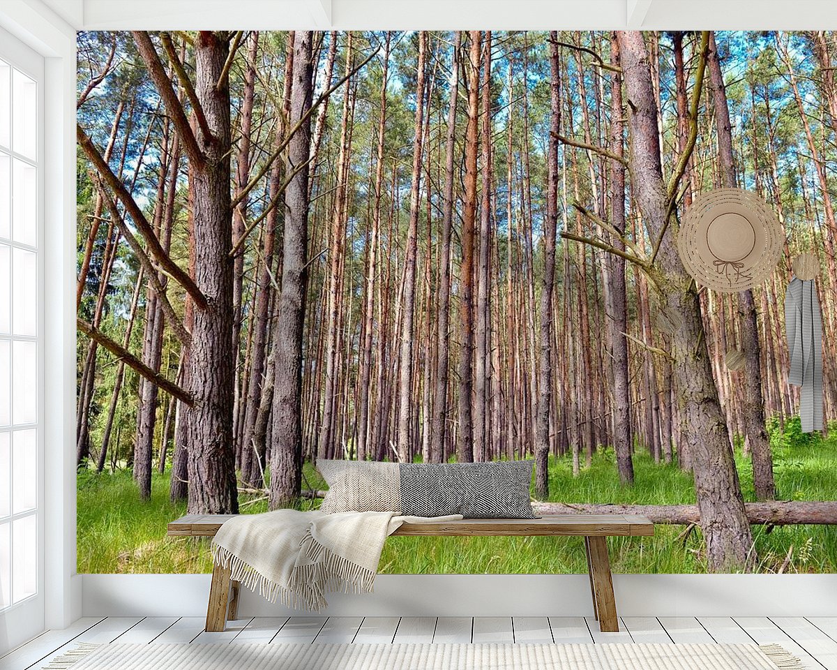Raumvorschau