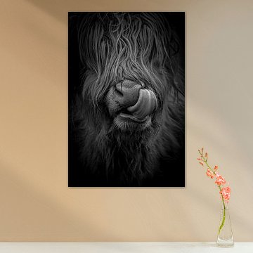 Portret van de Schotse Highland