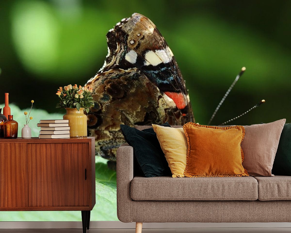 Raumvorschau