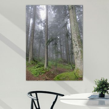 Pfade der Stille VI – Der schützende Mantel von Helmut Martin
