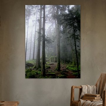 Mystischer Schwarzwald - Pfade der Stille V von Helmut Martin - The Art of Stone - Steinkunst & Photographie