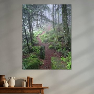 Mystischer Schwarzwald - Pfade der Stille I von Helmut Martin - The Art of Stone - Steinkunst & Photographie