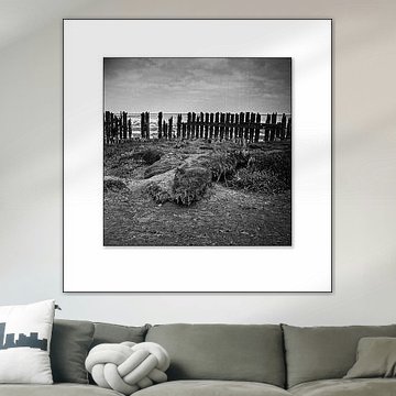 La mer des Wadden près de Moddergat 2