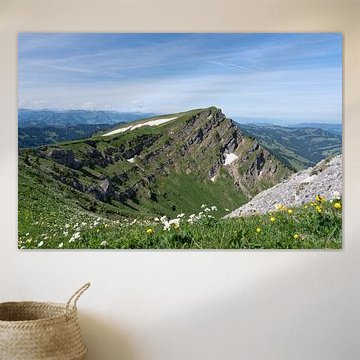 Hiking between Hochgrat Ridge and Rindalphorn - Scenic Alpine Landscape in Nagelfluhkette Bavaria von Sebastian Czech