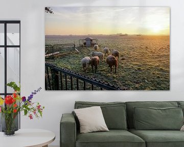 grazende schapen met zon op de achtergrond sur Dirk van Egmond