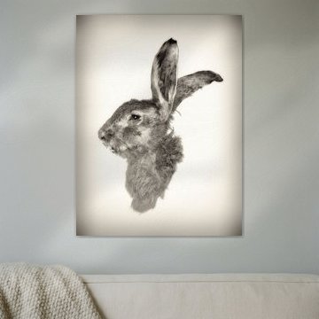 Hare