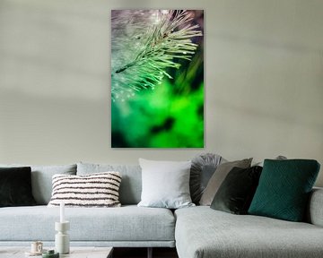 Een twijg van een spar, vol met waterdruppels, abstract uitgevoerd met paarse en groene kleuren. von Robert Wiggers