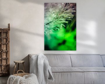 Een twijg van een spar, vol met waterdruppels, abstract uitgevoerd met paarse en groene kleuren. van Robert Wiggers