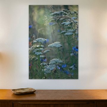 Botanical tranquillity by Kimfaesdesign