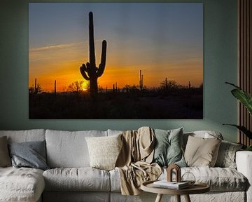 Cactus, Tequila Sunrise von martin von rotz