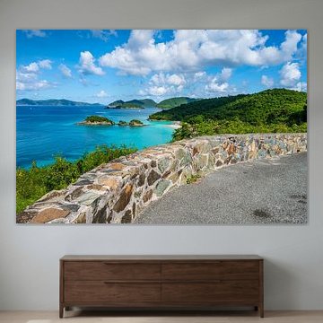 Uitzichtpunt op Trunk Bay, St John van Nancy Pauwels Photo